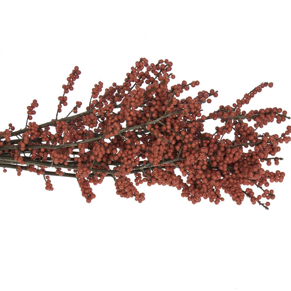 Ilex rot 100cm