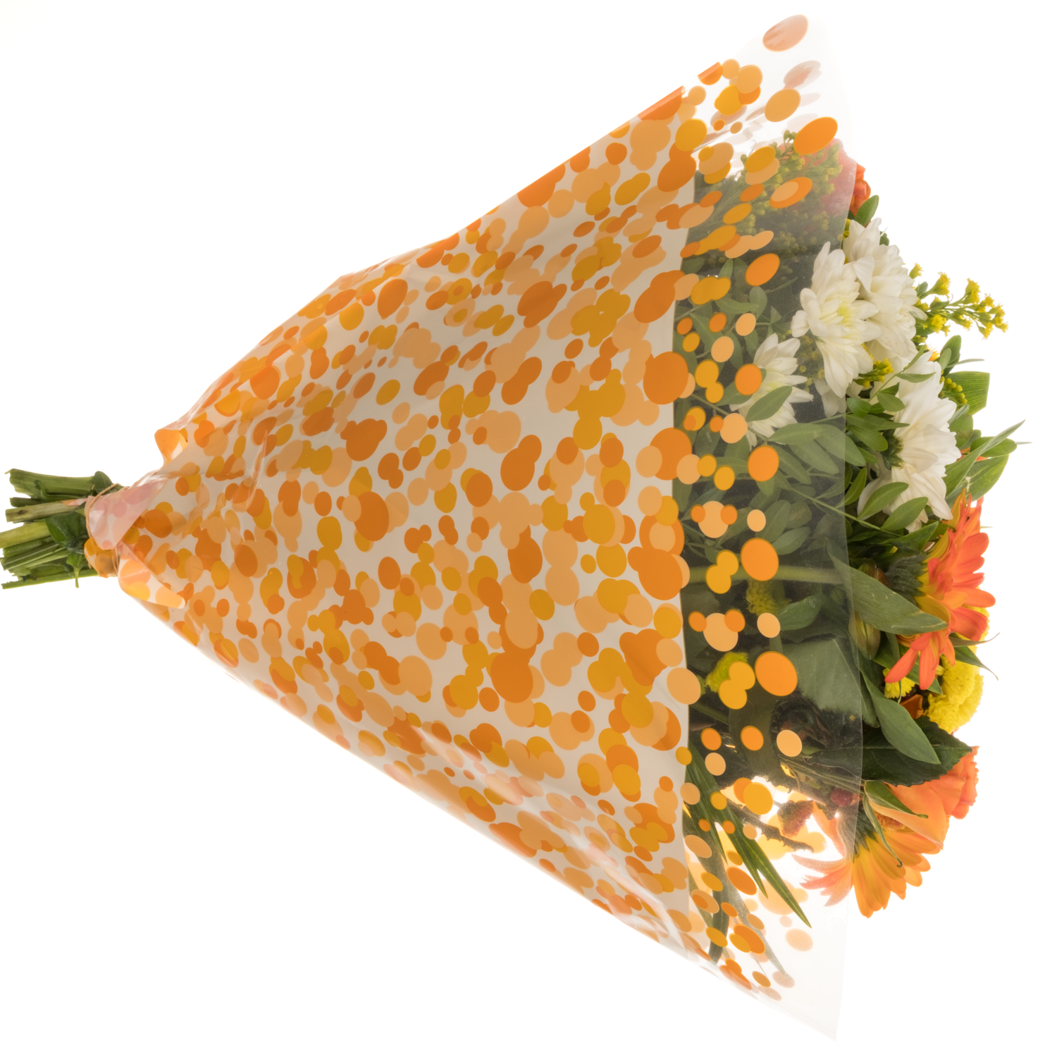 Strauß orange mix/grün Rosen-Germini 25 Stiele 50cm
