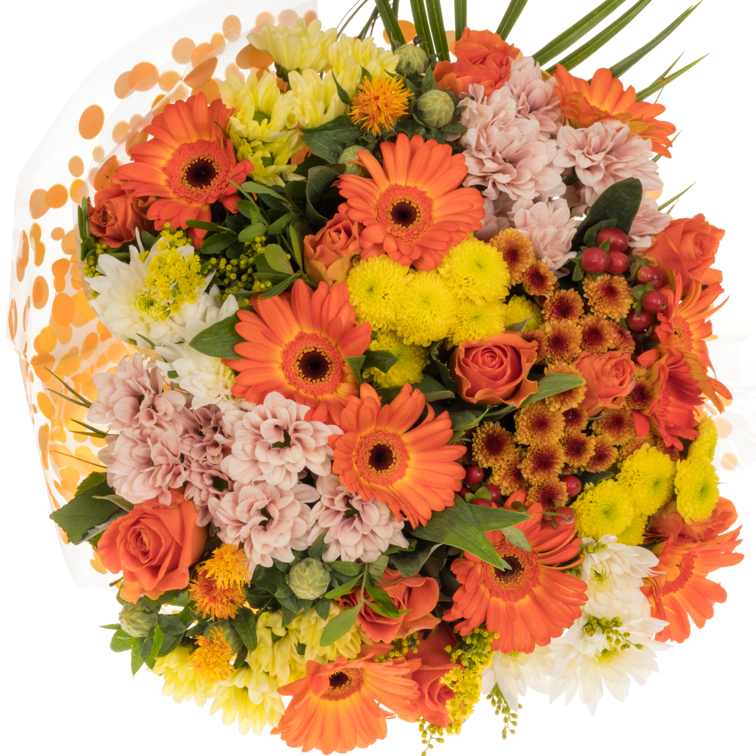Strauß orange mix/grün Rosen-Germini 25 Stiele 50cm
