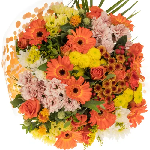 Strauß orange mix/grün Rosen-Germini 25 Stiele 50cm