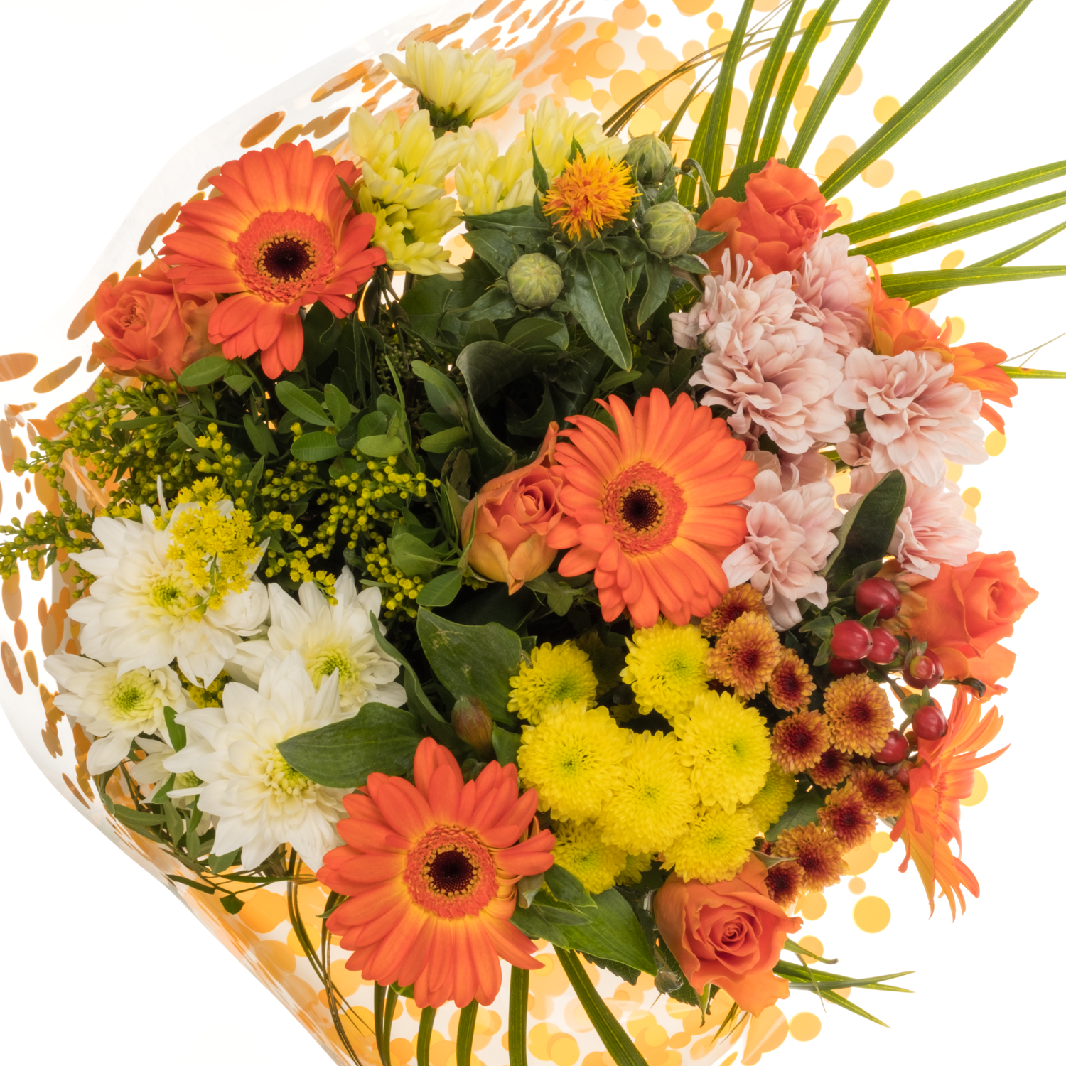 Strauß orange mix/grün Rosen-Germini 25 Stiele 50cm