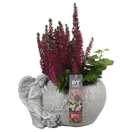 Garten.Arr PTAH8614 Allerheiligen T19 H030