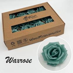 Seiden Wachs Rose hell grün