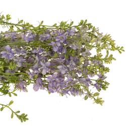 Rittersporen milka Lila 80cm