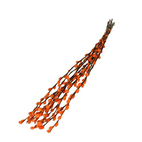 Trocken Zweig Weidenkätzchen orange L70cm