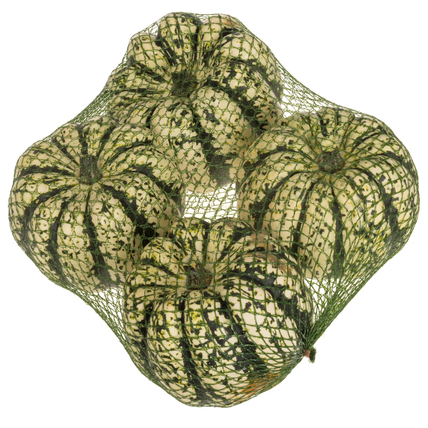 Zierkürbis weiss/grün Heart of Gold 12cm Im Netz X4