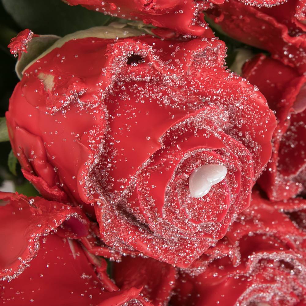 Rose Choco Red Love 70cm duftend