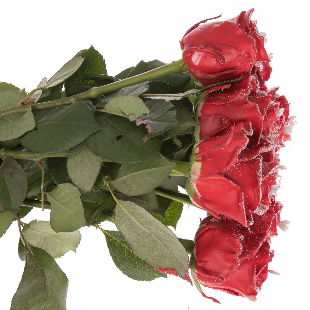 Rose Choco Red Love 70cm duftend