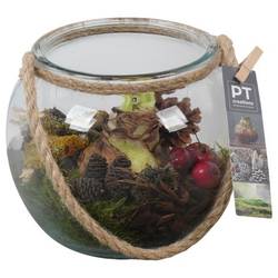 Amaryl.Arr PTAA7578 rote Bl. T19 H018