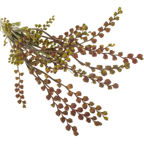 Montbretie Bes fire kin 70cm