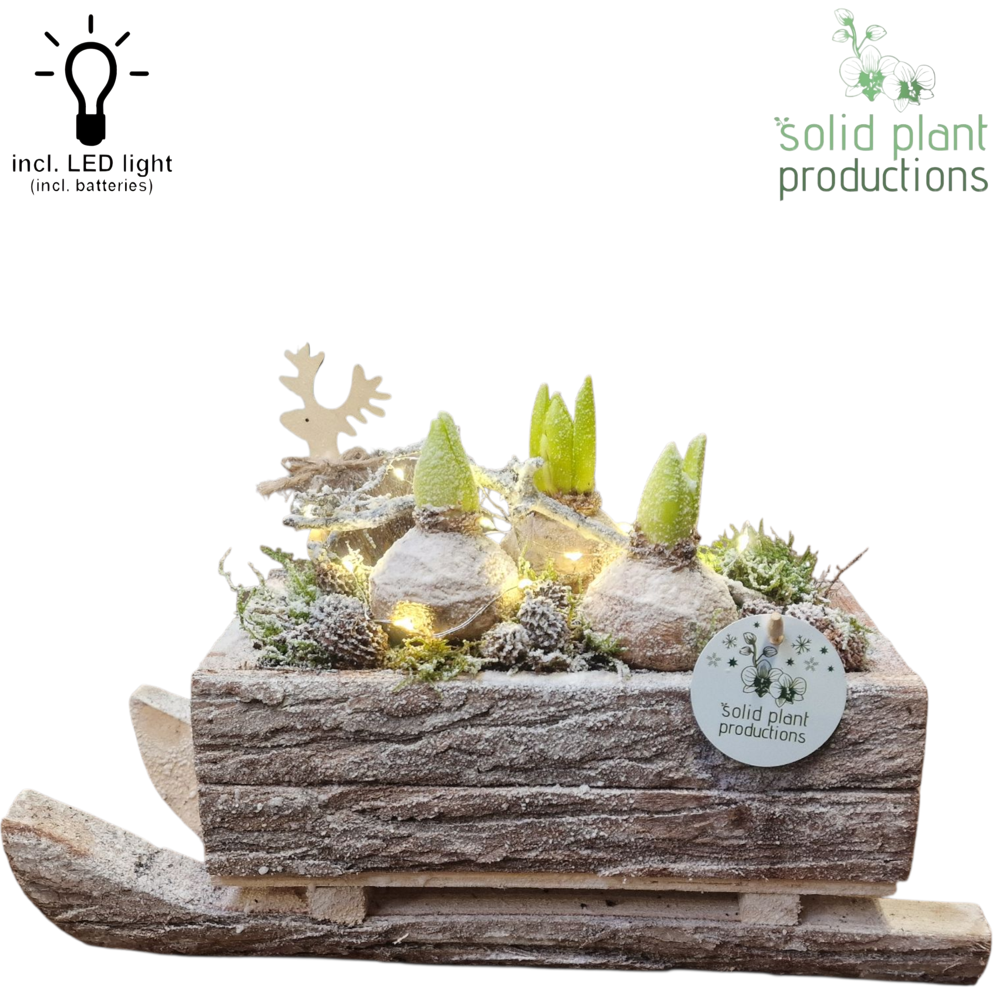 Hyac.Arr BRMH001LED T34 H023