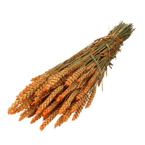 Trocken Weizen orange L70cm