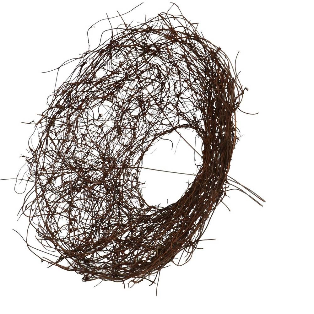 Strausshalter Mühlenbeckia D25cm