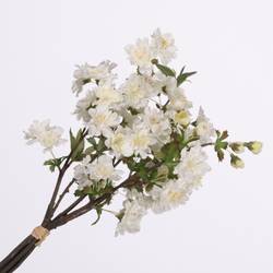 Seiden Cherry Blossom creme L40cm