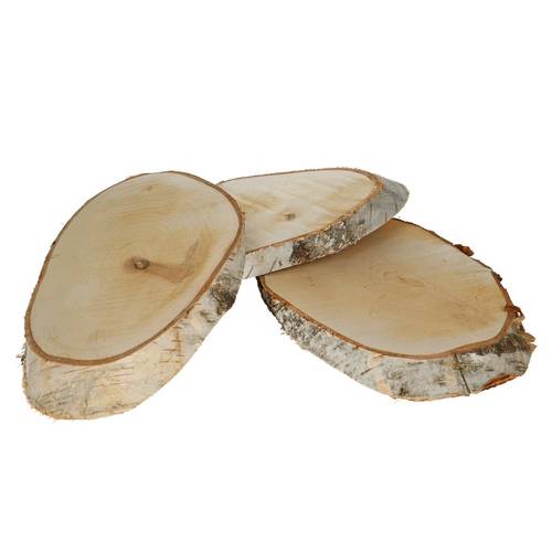Trocken Birke Scheibe D34/20cm