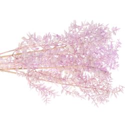 Wilder Ruskus milka gefärbt 70cm