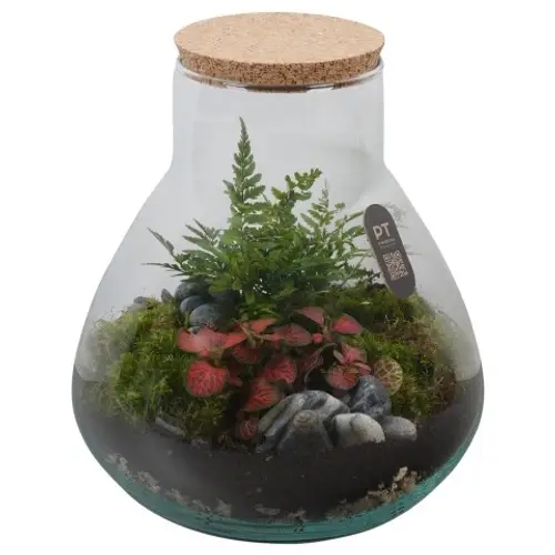 Flor.Arr PTTER8121 T22 H025