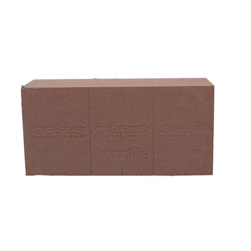 Ziegel 23x11x8cm Bio Floral Oasis® x20