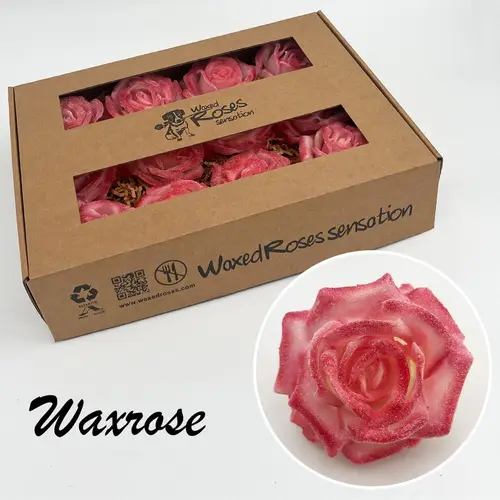 Seiden Wachs Rose Glitzer dunkel rosa