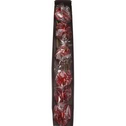Anthurium terrakotta Choco Blüte 15cm