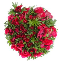 Anemone cerise/rot Super 40cm