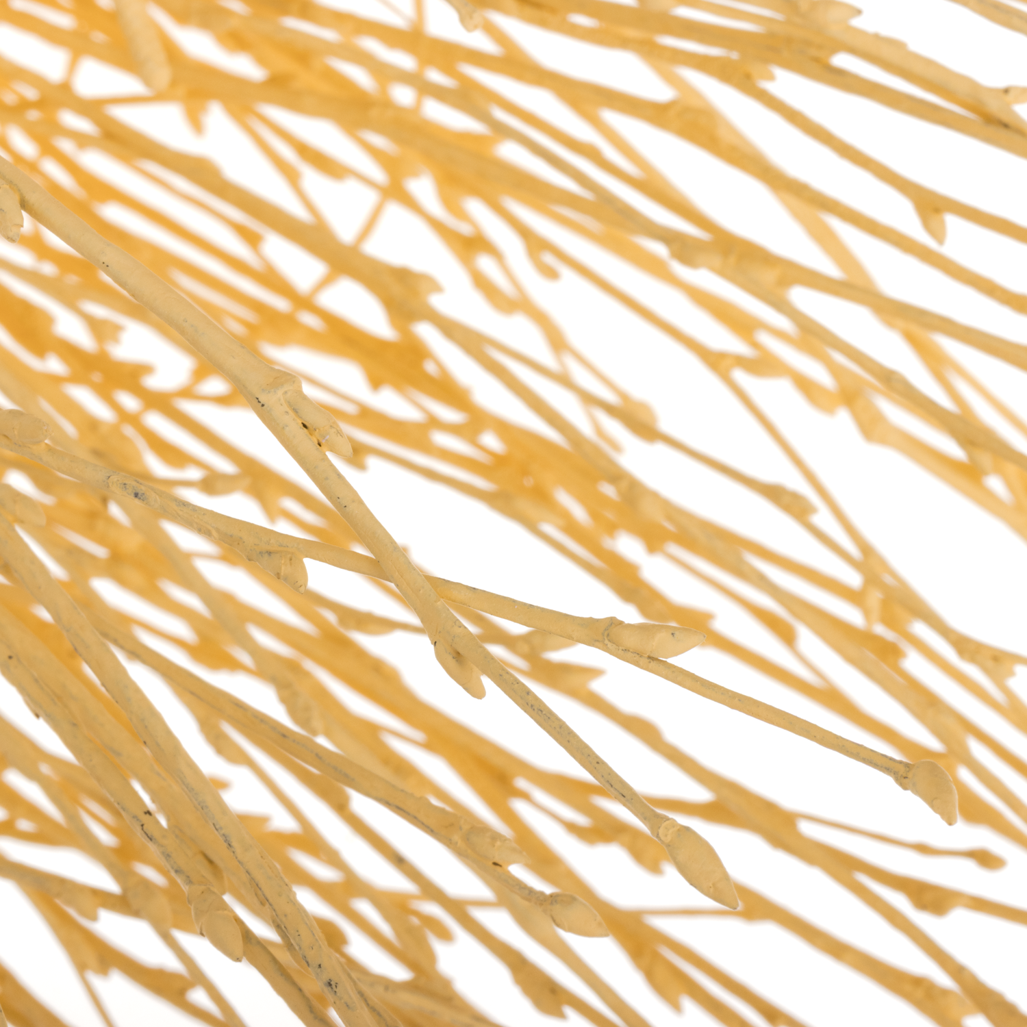 Birke apricot gefärbt 70cm