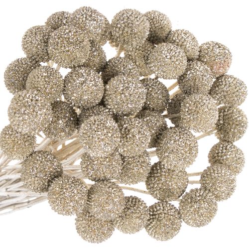 Craspedia platina gefärbt 70cm