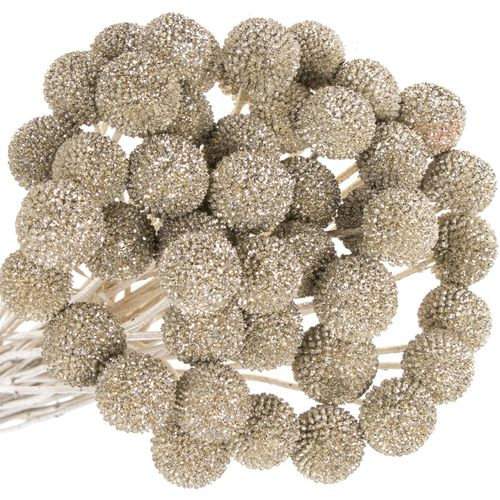 Craspedia platina gefärbt 70cm