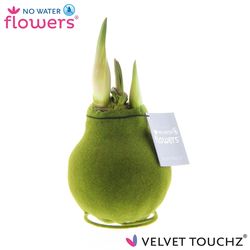 Amar.Bol Wachs grün Velvet rote Bl. H15