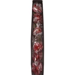 Anthurium braun Choco Blüte 13cm