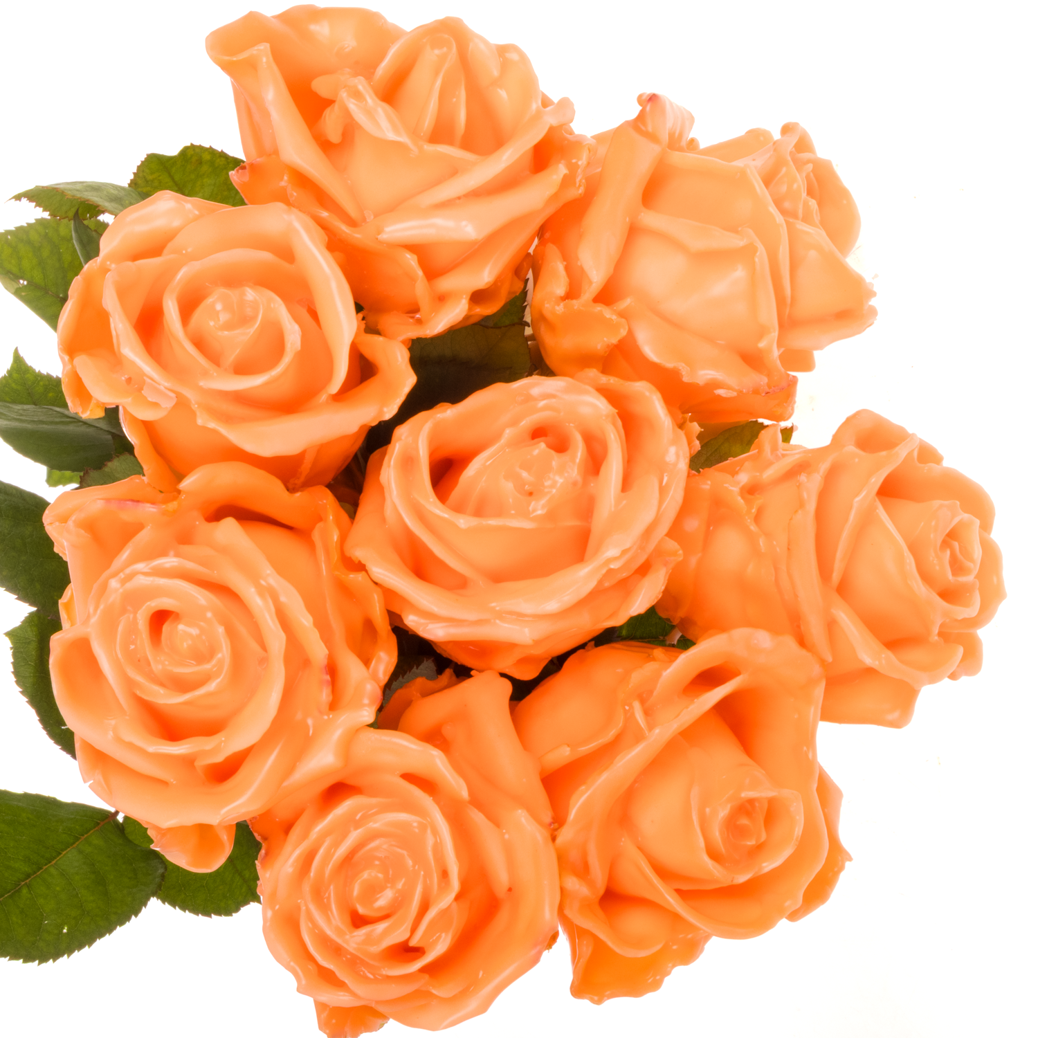 Rose lachs Wachs Versilia Avalanche (W4) 60cm