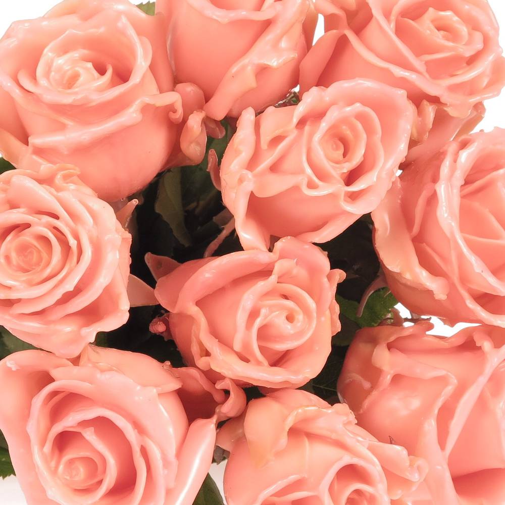 Rose orange Wachs Versilia Avalanche (W4) 60cm