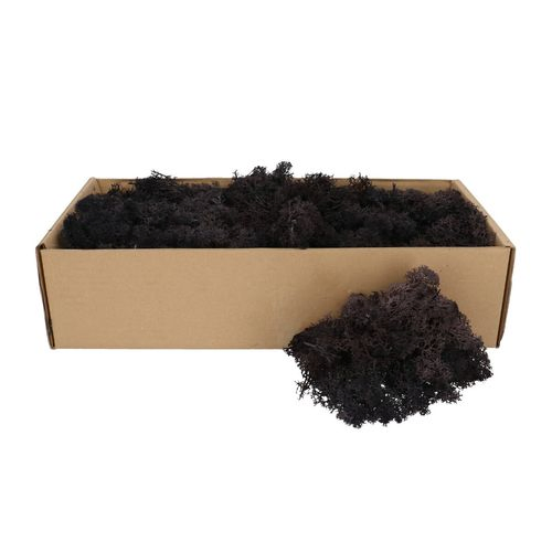Islandmoos schwarz 500gr im Karton