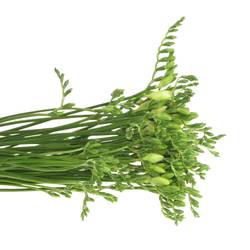 Freesie weiss Diamond River 28 Gramm