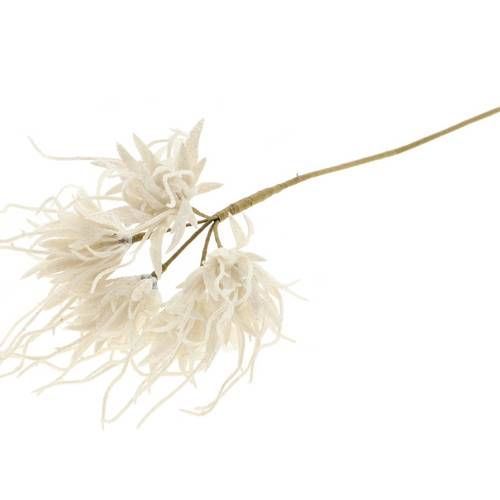 Spinnen-Nelke auf stab weiss L55cm D10cm