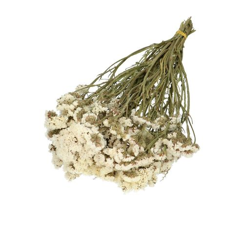 Trocken Statice weiss L45cm 80gr