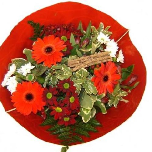 Strauß rot Biedermeier 17 Stiele 55cm