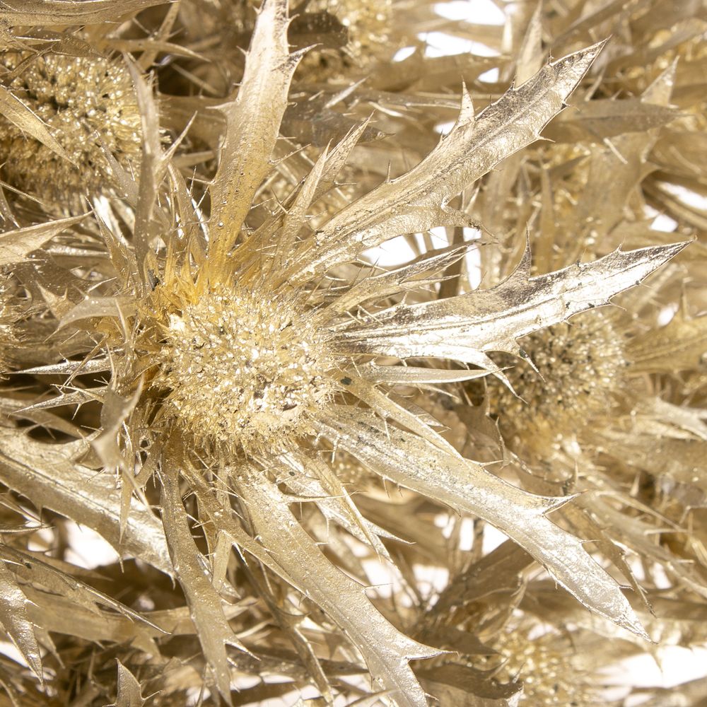 Distel Orion platina gefärbt 40cm
