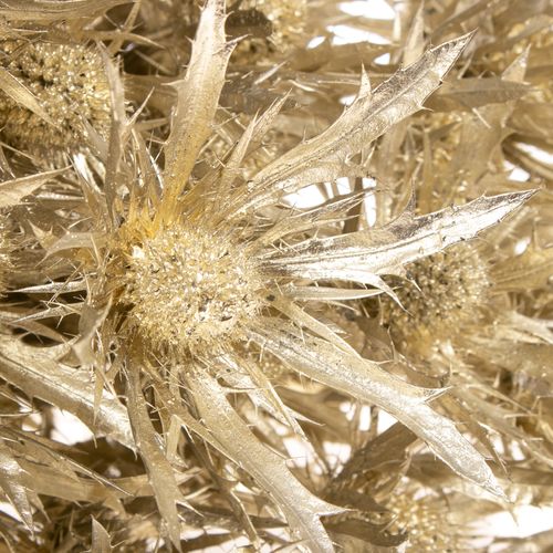 Distel Orion platina gefärbt 40cm