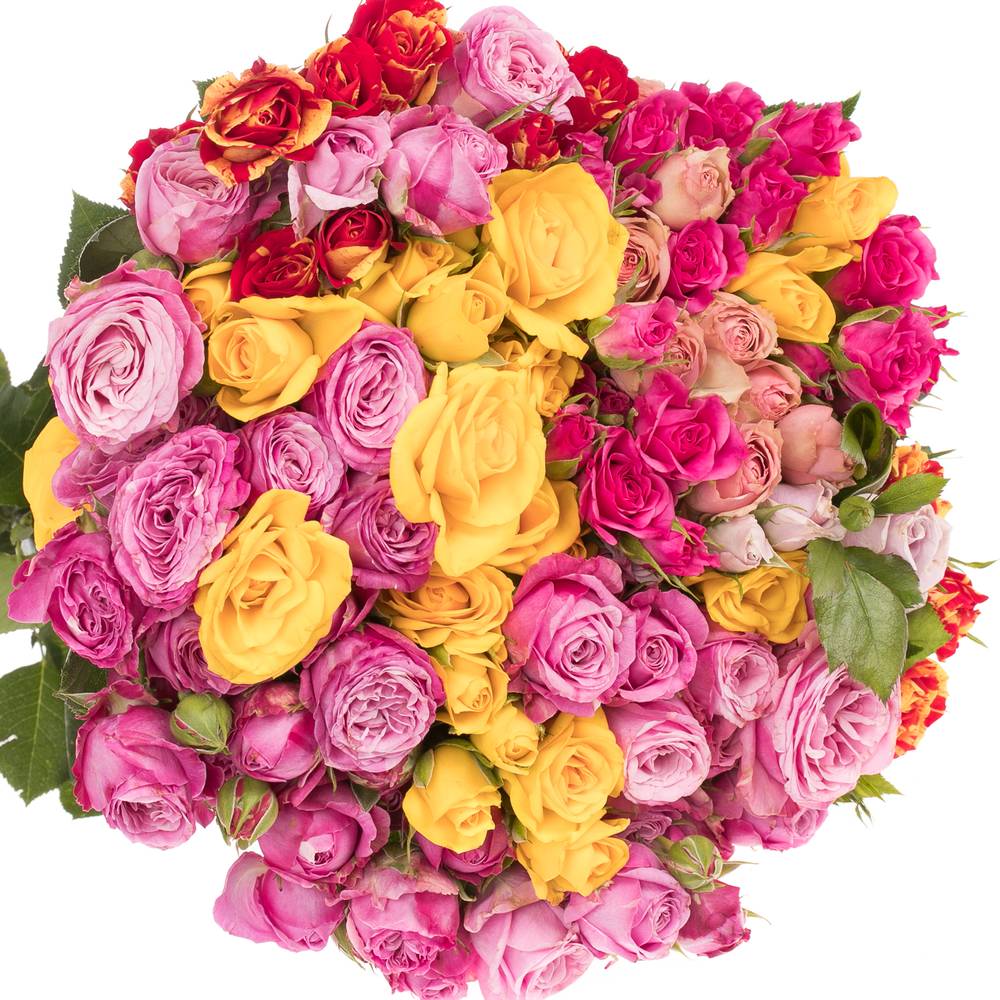 Rose verzweigt mix Im Bund 3+Blüte 40cm