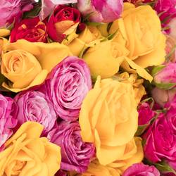 Rose verzweigt mix Im Bund 3+Blüte 40cm