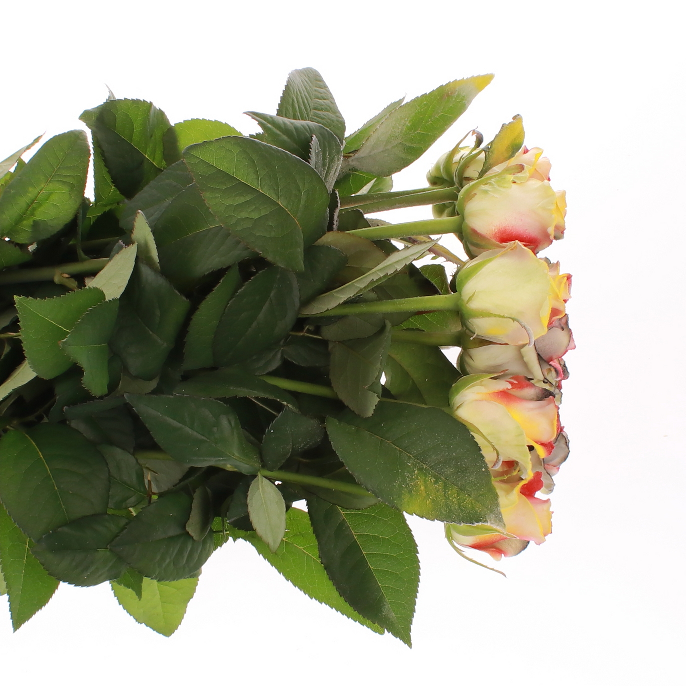 BLKWHT Gartenflagge 'Frühlingsblumen', 30,5x45,7 Cm – Doppelseitig Bedruckt Aus Wetterfester Jute