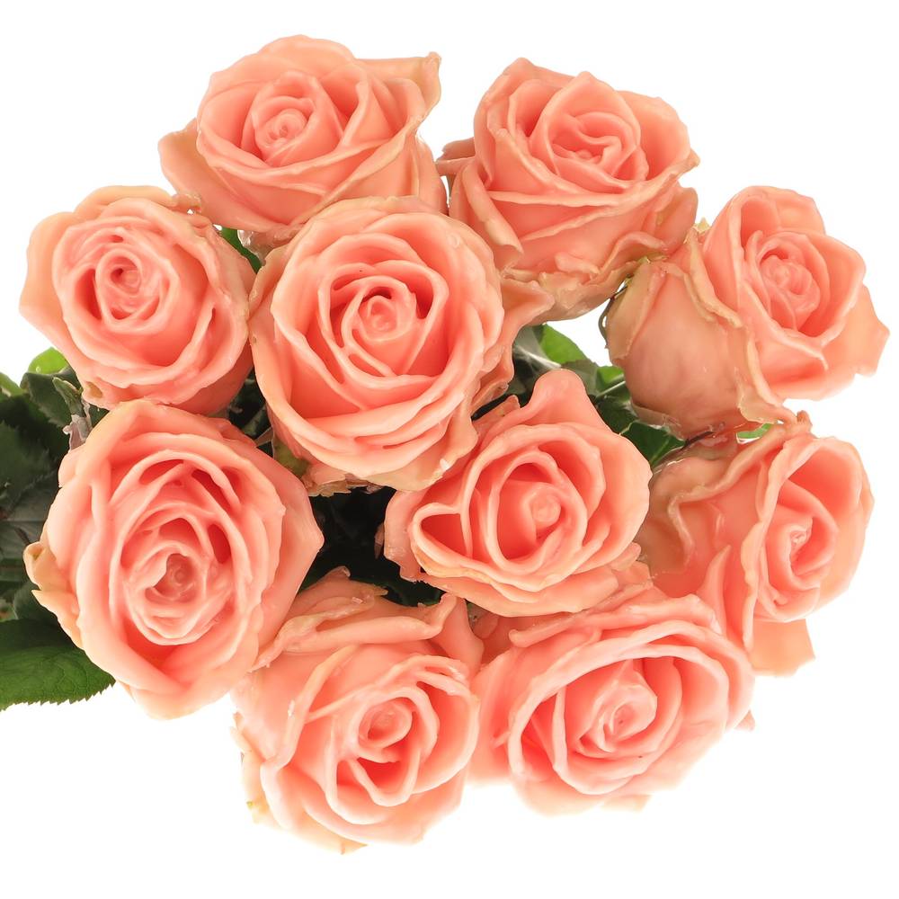 Rose apricot Wachs Oceana (W11) 70cm 