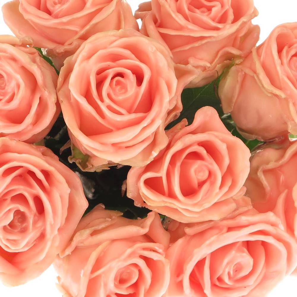 Rose apricot Wachs Oceana (W11) 70cm 