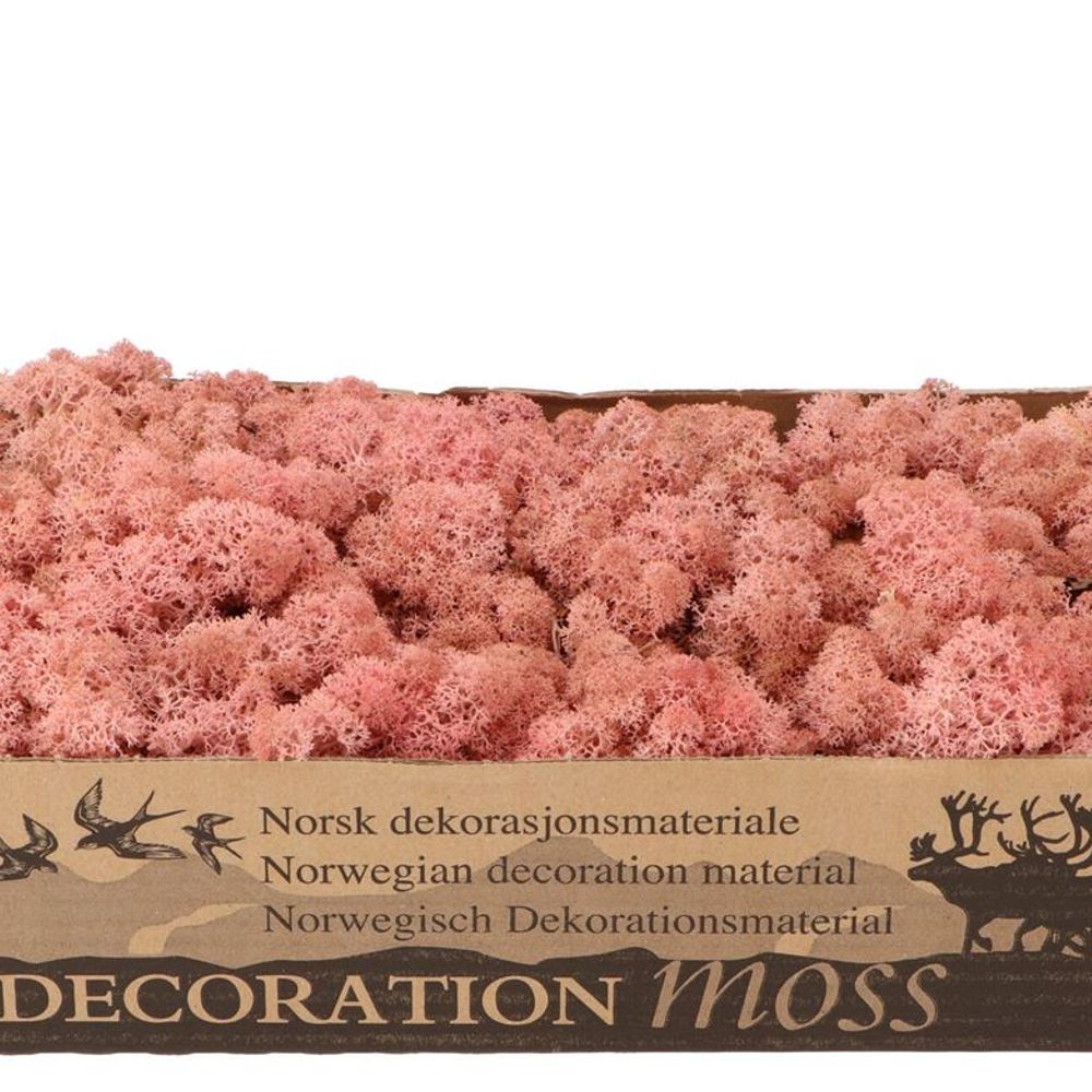 Island Moos H.rosa 500 Gr