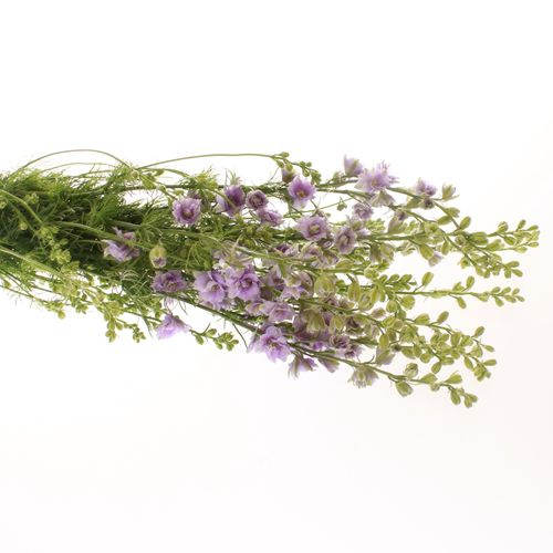 Rittersporen milka 80cm