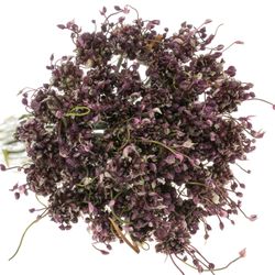 Alium lila Art Mini 80cm