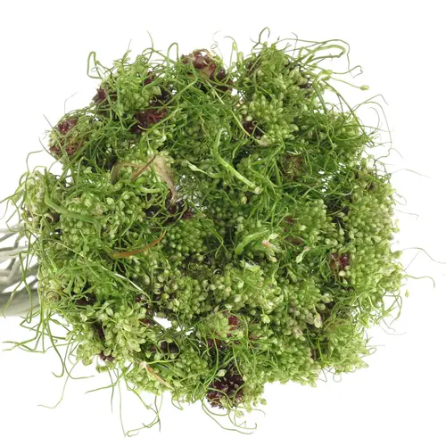 Alium grün Hair 80cm