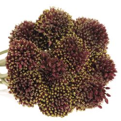 Alium schwarz Forelock 75cm
