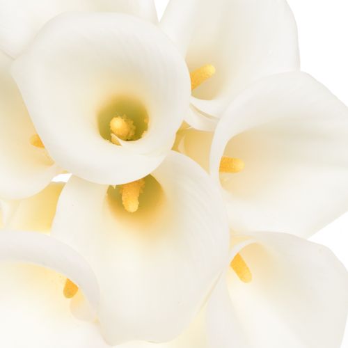 Calla weiss Ivory Art 60cm